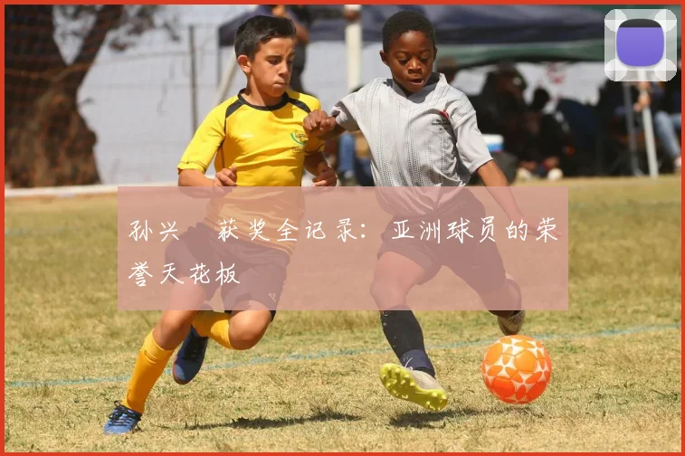 孙兴慜获奖全记录:亚洲球员的荣誉天花板
