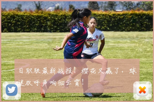 日职联最新战报！樱花又赢了，球迷欢呼声响彻云霄！