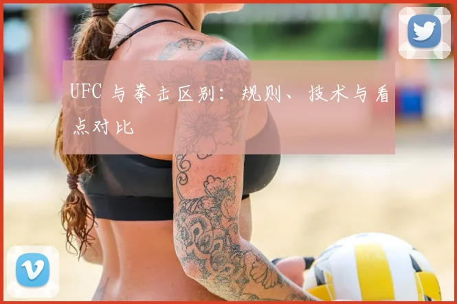 UFC 与拳击区别：规则、技术与看点对比