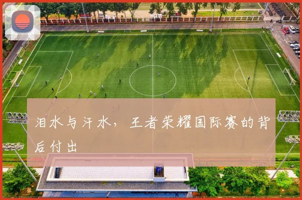 泪水与汗水,王者荣耀国际赛的背后付出