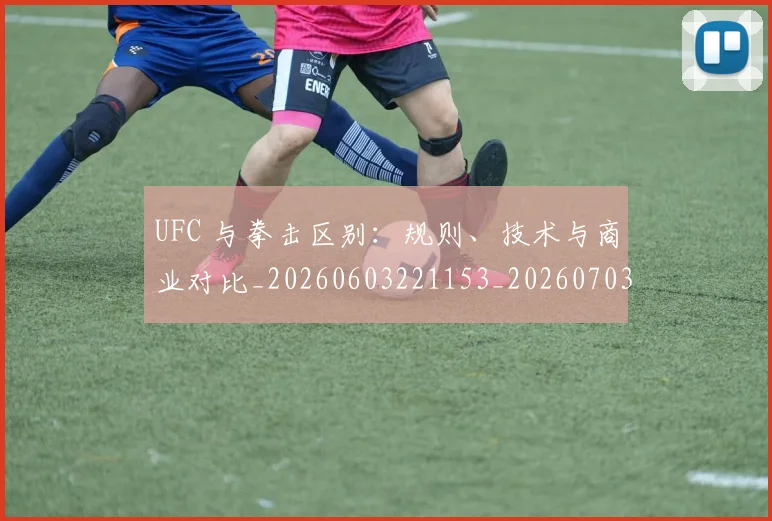 UFC 与拳击区别:规则、技术与商业对比_20260603221153_20260703202713